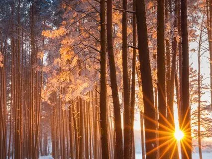 Reprogram Your Subconscious Mind From Limiting Beliefs