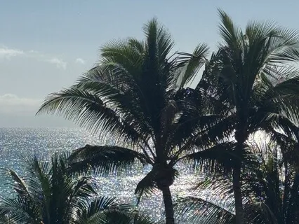 Reprogram Your Subconscious - Remove Limiting Beliefs