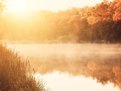 Reprogram Yourself Before Your Day Begins