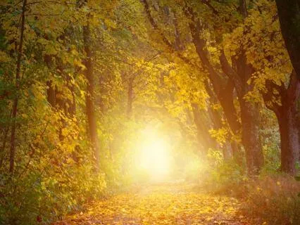 Reprogram Yourself First Thing In The Morning