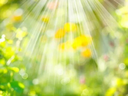 Reprogramming A Core Belief