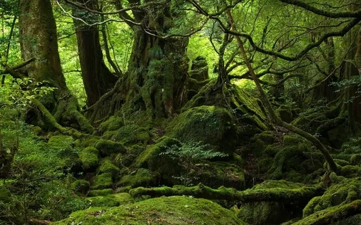 Reprogramming For Stability And Grounding