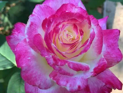 Reprogramming Negative Self-Talk