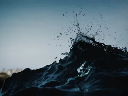 Reprogramming The Brain Pt.1