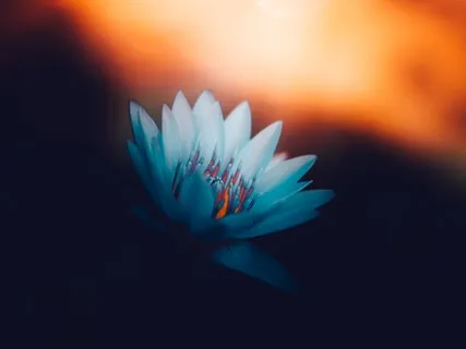 Reprogramming The Mind For Self-Confidence