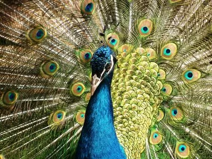 Reprogramming The Subconscious