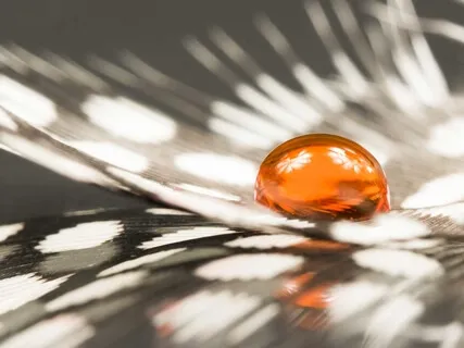 Reset & Rebalance Your Energy Breathing Practice