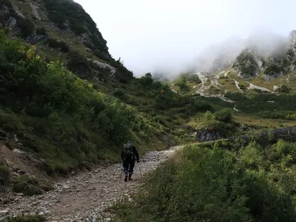 Reset & Refocus (Movement Meditation)