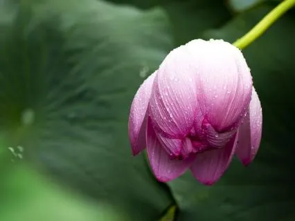 Reset And Remember: A Grounding Meditation For Women