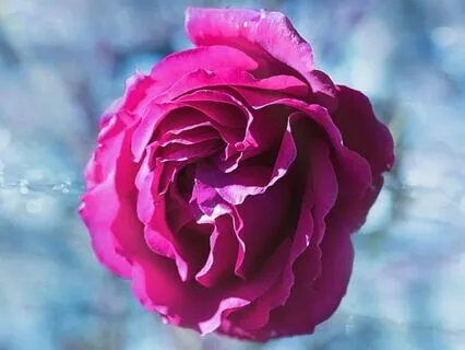 Reset & Arrive: Coming Home To Yourself First