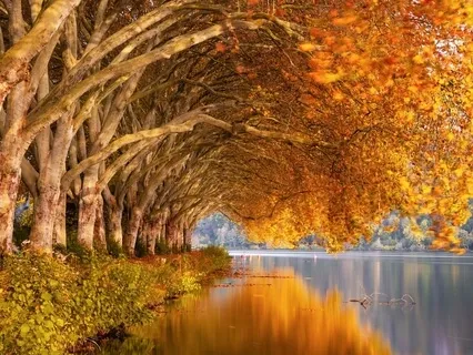 Reset In 6 - A Mindful Pause