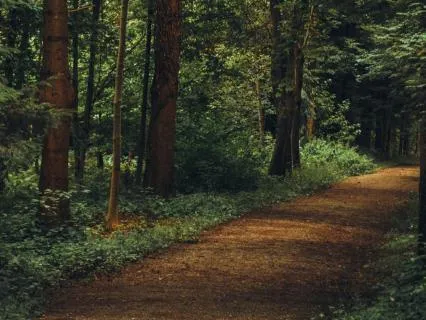 Reset & Realign For Busy, Overthinking Minds