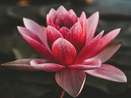 Reset & Recharge: A Grounding Mindful Body Scan