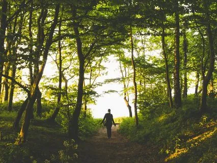 Reset & Reclaim: A Grounding Meditation For High-Impact Men