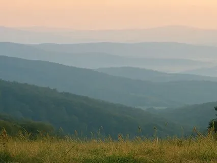 Reset & Refocus – 5-Min Energy Boost For Clarity & Strength