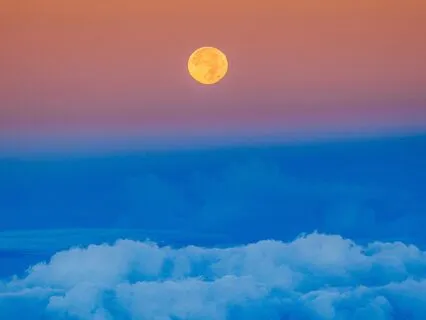 Reset Series - 7. Reset For Sorrow