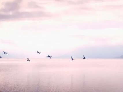 Reset Series - 8. Freedom Reset