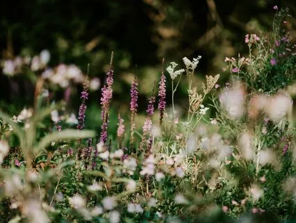 Reset Series - 9. Relaxed Reset