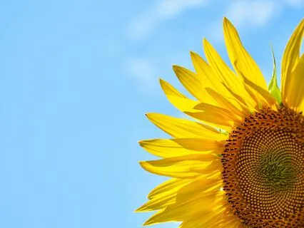 Reset To Relieve Stress