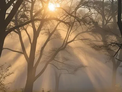 Reset With Box Breathing
