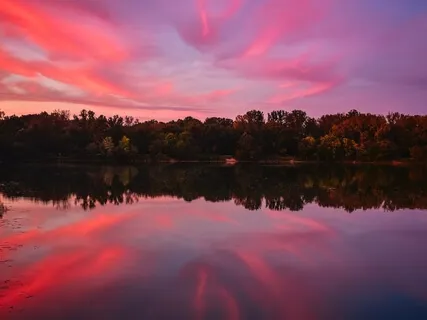 Reset With Light Language 