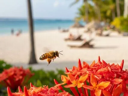 Reset Your Anger Preference