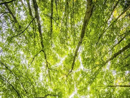 Reset Your Energy Today