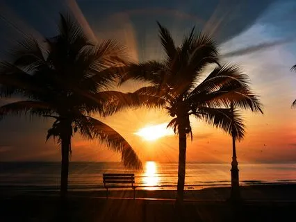 Reset Your Energy With 888 Hz Healing Tones