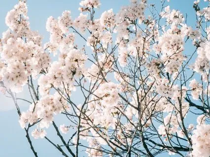 Reset Your Mind: From Stress To Inner Strength