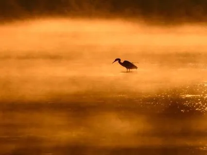 Reset Your Mind In 7 Minutes