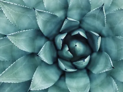 Guided Breath Work- Belly Breathing To Calm