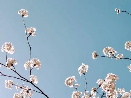 Reset Your Nervous System In 10 Minutes