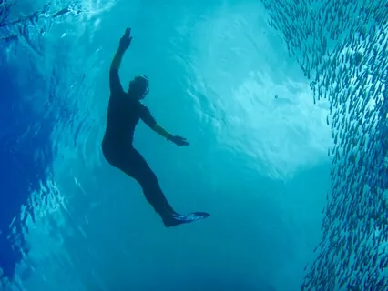 Reset Your Nervous System