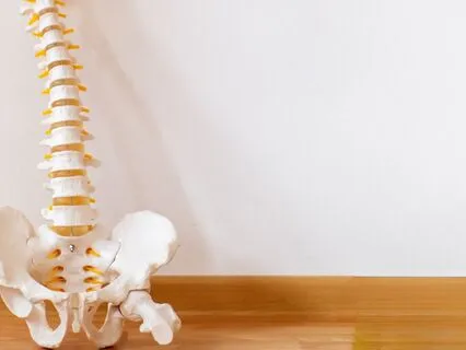 Reset Your Posture Without Force