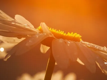 Reset Your Response To Stress