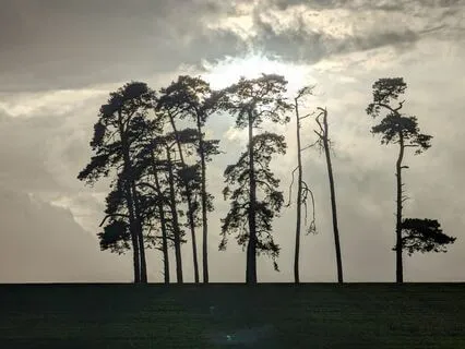 Reset Your Thoughts For Peace And Confidence