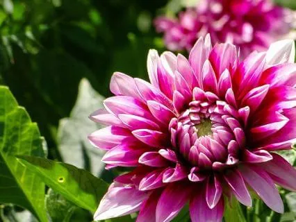 Resetting The Nervous System Through Energy Awareness