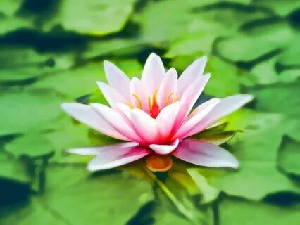 Resetting Your Energy Meditation
