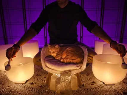 Resetting Your Vagus Nerve For Sleep Sound Bath