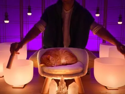 Resetting Your Vagus Nerve Sleep Sound Bath