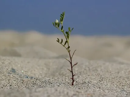 Resilience (1-Hour Extended Version)