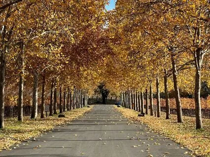 Resilience After Layoff: Navigating Change | Growth Mindset