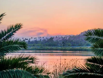 Resilience And Renewal Pathway