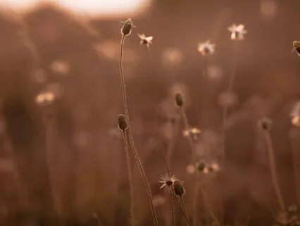 Resilience & Strength