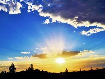 Resilience In The Face Of Relentless Change