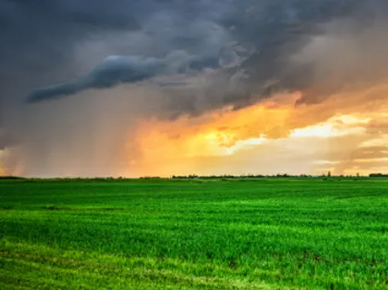 Resilience Meditation During Coronavirus #1 