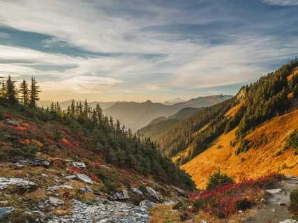 Resilience Meditation During Coronavirus #3: Digging Deep