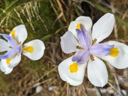 Resilience | Mindful Motivation