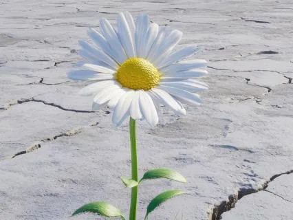 Resilience - Staying Present Through Discomfort