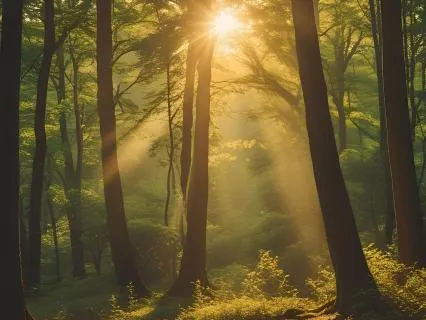 Resiliency Pause For Strategic Calm